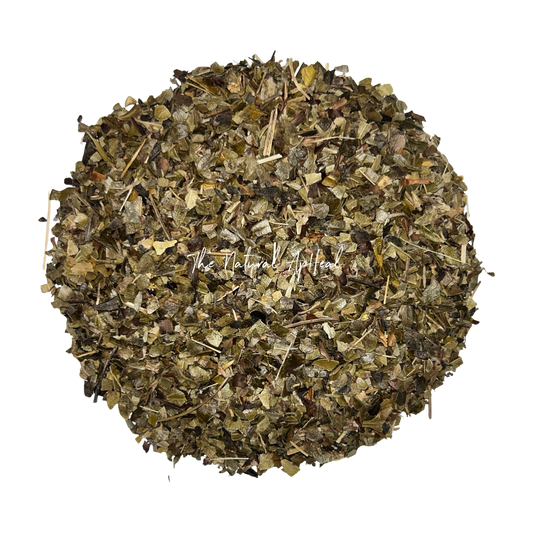 Organic Uva Ursi Leaf - Arctostaphylos uva ursi - Cut & Sifted