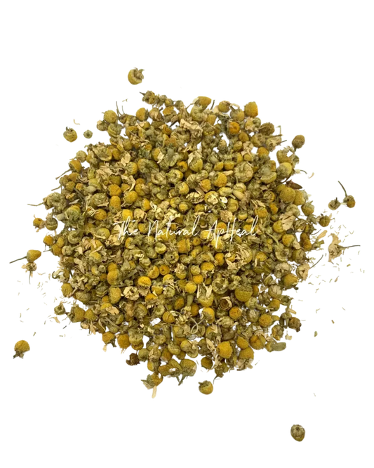 Organic Chamomile - Matricaria recutita - Flower