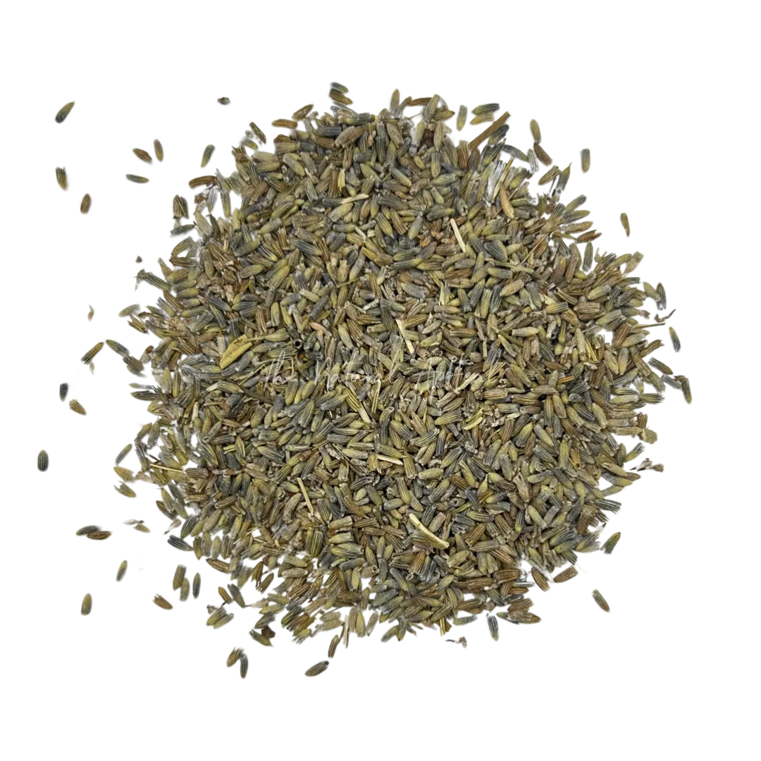 Organic Lavender - Lavandula x intermedia - Flowers