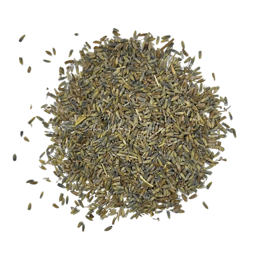 Organic Lavender - Lavandula x intermedia - Flowers
