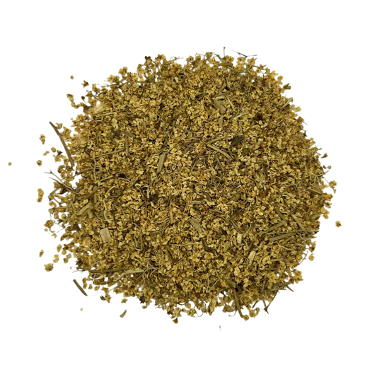 Organic Elder Flower - Sambucus nigra - Cut & Sifted