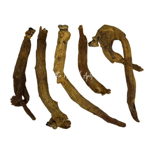 Organic Chinese Red Ginseng Roots - Panax ginseng - Whole
